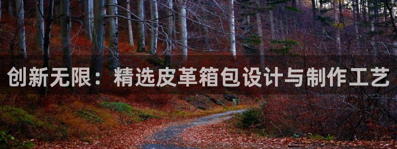 必一体育合法吗
