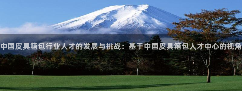 必一体育app下载装机吧