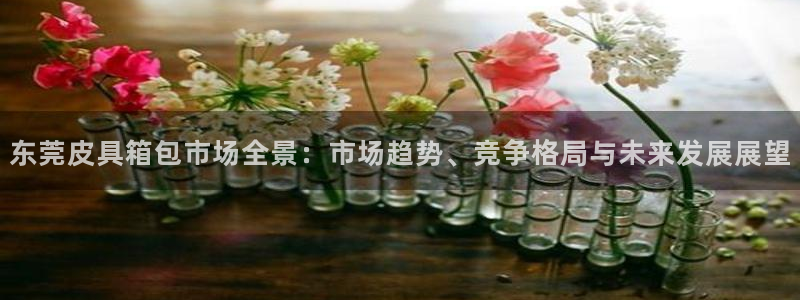 必一体育下载意思