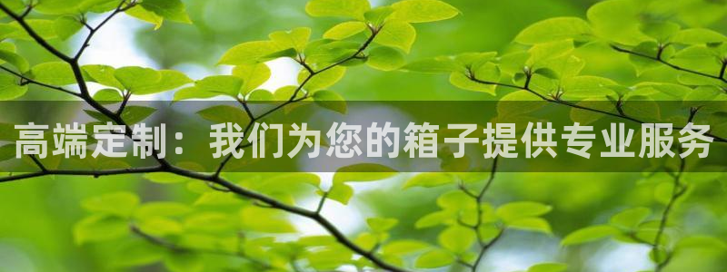 必一体育黑平台