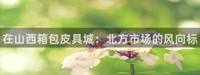 必一体育下载秀给网