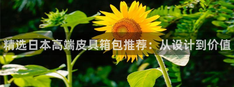 必一体育验证码