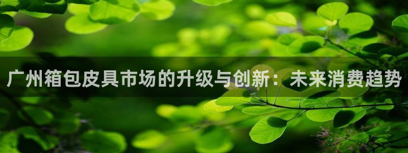 必一体育游戏玩法