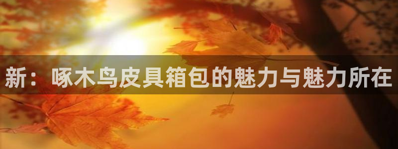 必一体育网址