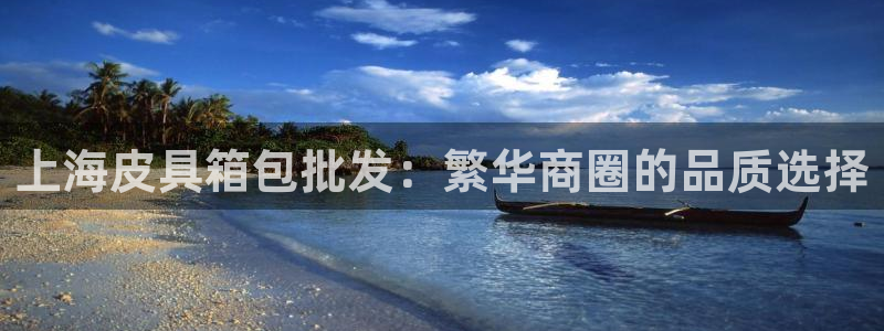 必一体育sportB体育