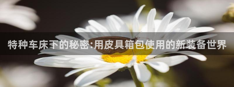 必一体育秀给网