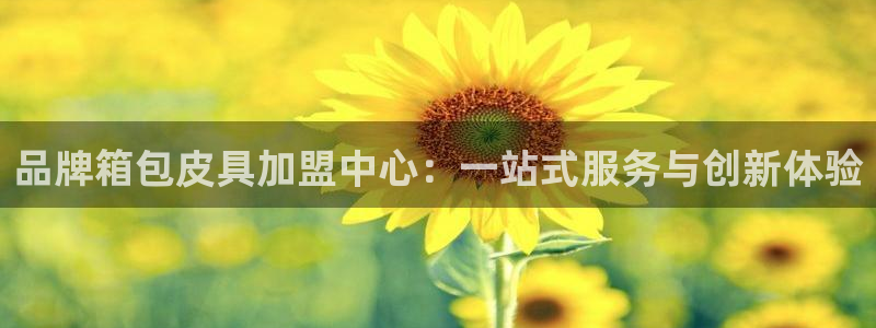 必一体育sport官网