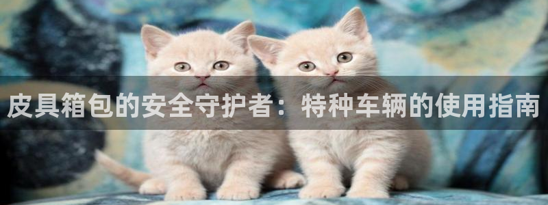 必一体育登入
