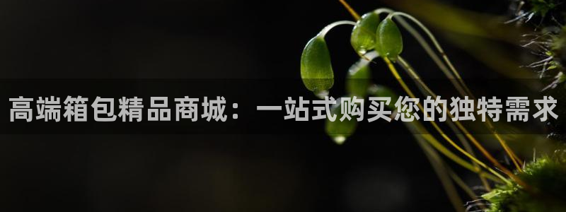 必一体育下载义