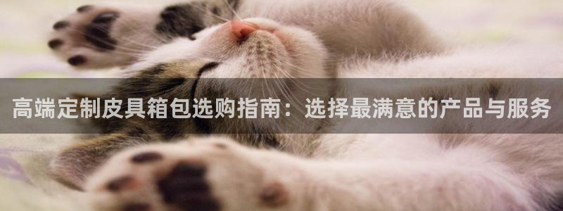 必一体育下载意思