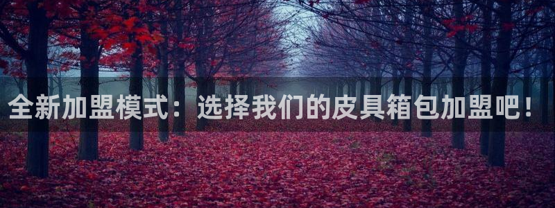 必一运动sport爱查股