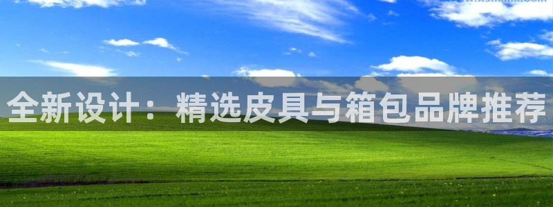 必一体育sport网页版