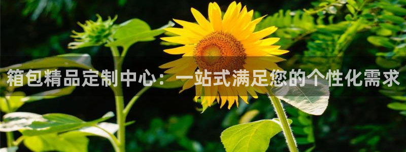 b体育必一下载
