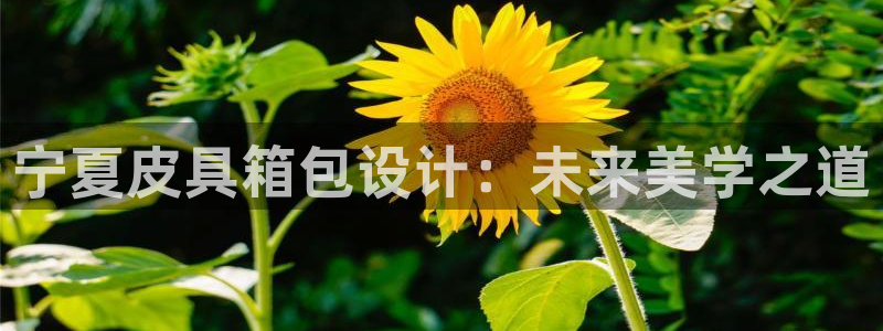 必一运动sport爱查股