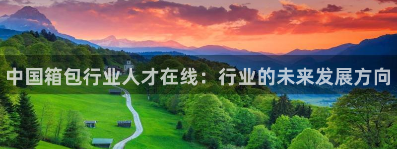 Bsport体育app必一