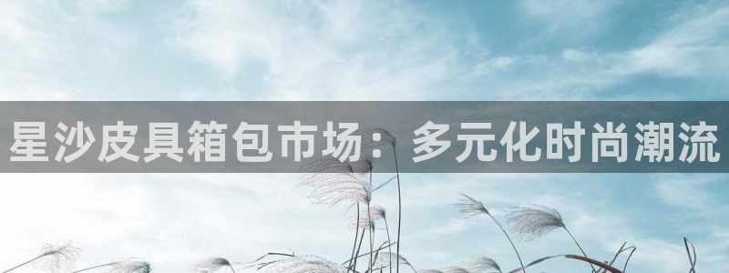 必一体育官网ios下载