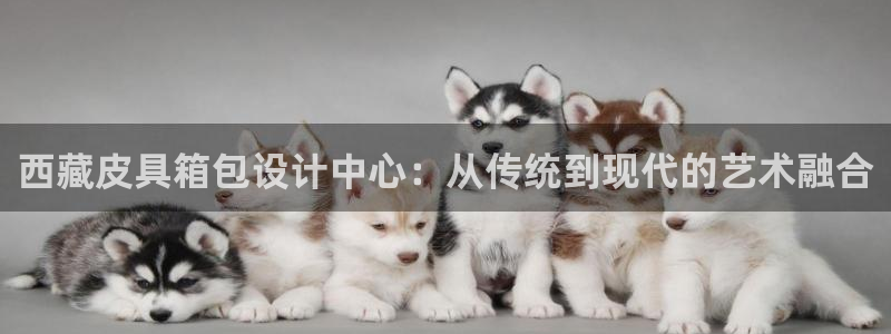 必一体育bsport下载