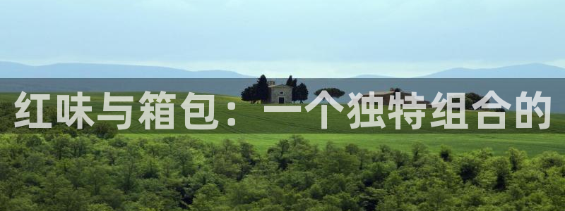 必一体育下载义