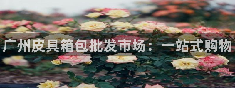必一体育是啥