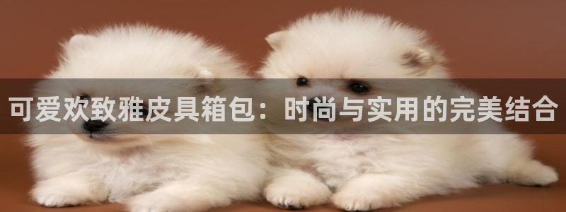 必一体育没了