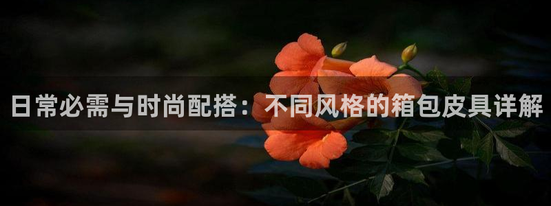 必一体育APP