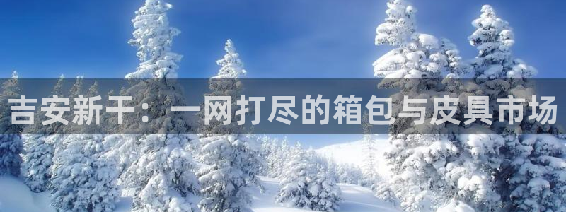 必一体育下载移动版