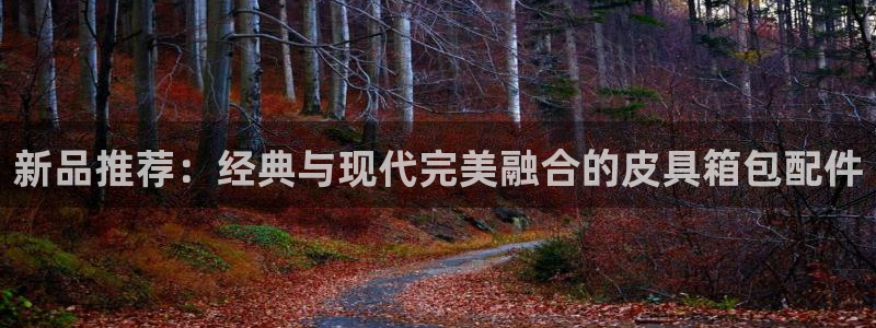 必一运动 b 体育素描版
