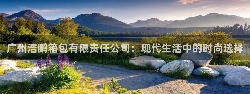 必一运动 b 体育素描版