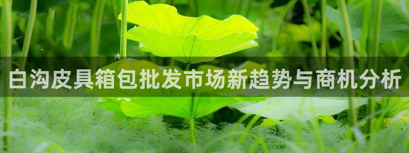 必一体育app下载装机吧