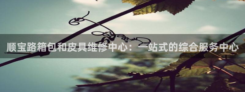 必一体育下载义