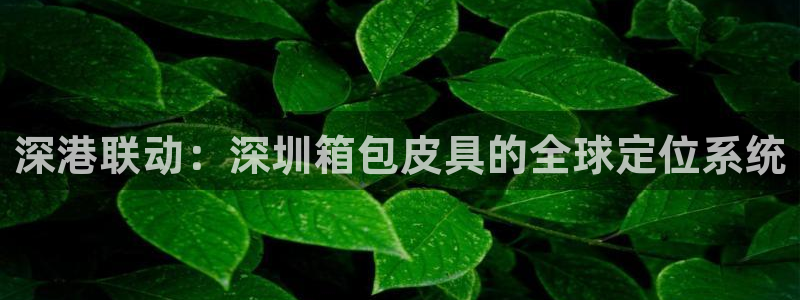 必一体育黑平台