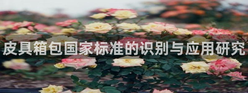 必一体育登陆