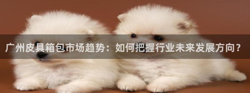 必一体育app下载装机吧