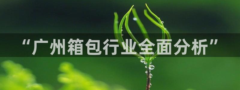 必一体育在哪下