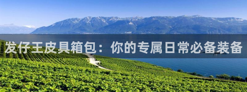 b体育必一下载