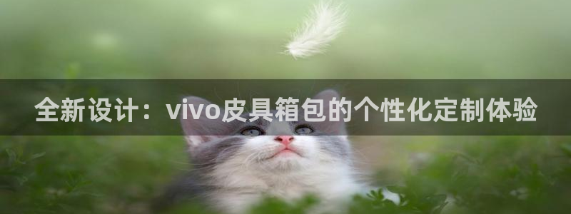 必一体育bsport下载