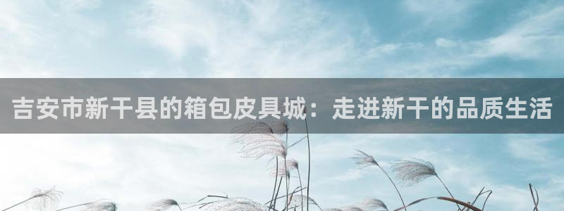 必一运动官网入口