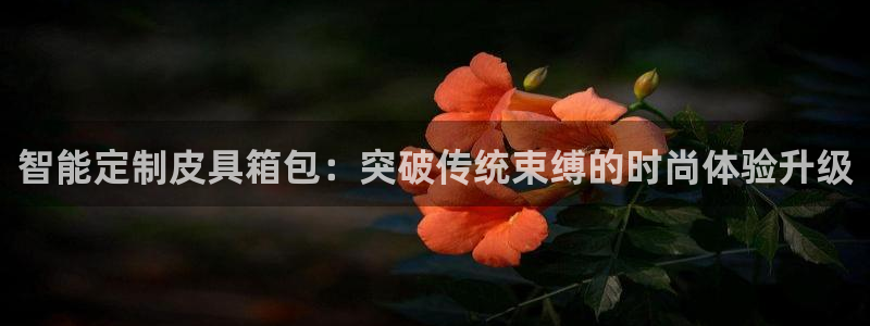 必一体育运动app下载