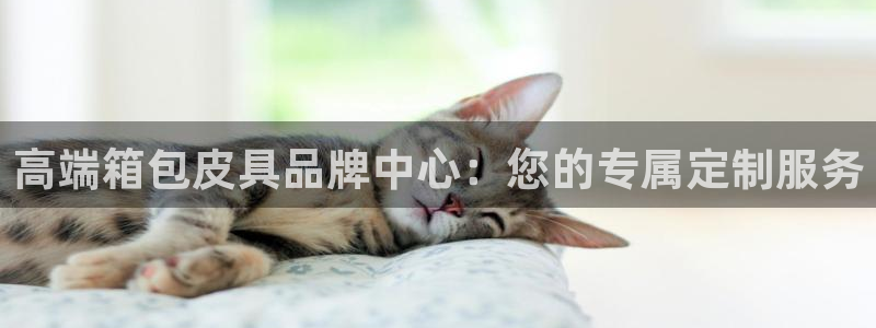 必一体育黑钱