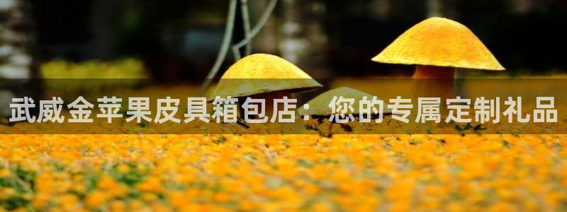 必一体育下载意思